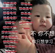 微信截图_20241124174329