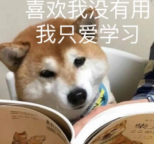 微信截图_20241124181101